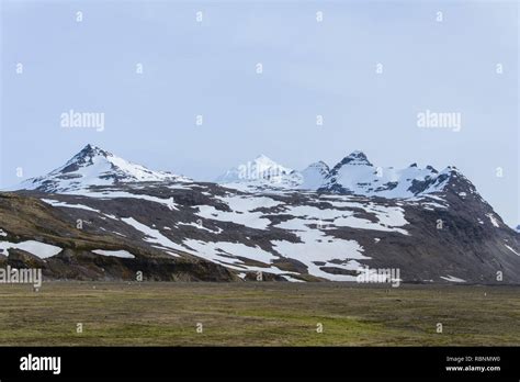 South Georgia Landscape Stock Photo Alamy