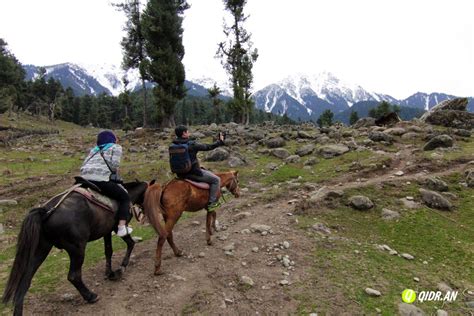 Qidran © Kashmir 2014 Day 3 Pahalgam Pony Ride