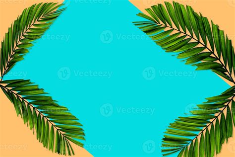 Green Palm Leaves Pattern For Nature Concept Tropical Leaf On Orange