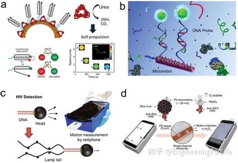 【顶刊综述】精准医学中的医用微型纳米机器人 知乎