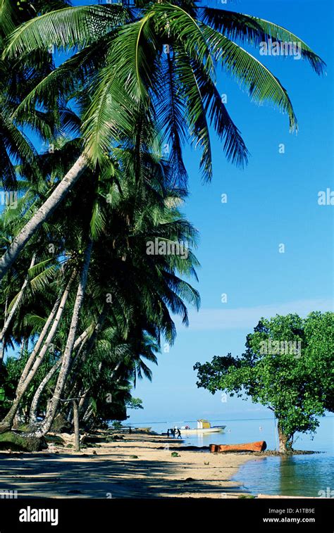 Micronesia kosrae beach beaches hi-res stock photography and images - Alamy