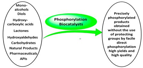 Catalysts Free Full Text The Power Of Biocatalysts For Highly