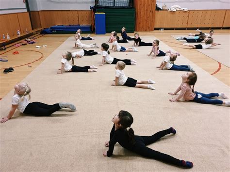 Детская спортивная школа по художественной гимнастике и спортивной ...