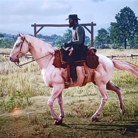 Discuss Everything About Red Dead Wiki Fandom