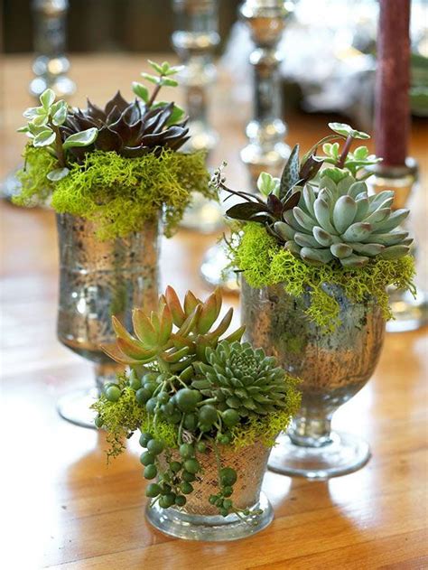 Succulent Container Ideas For Your Home