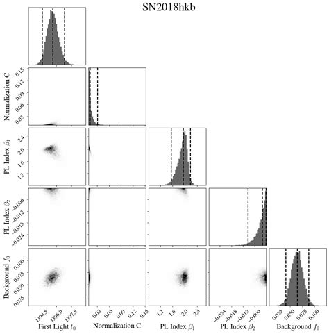 Posterior Parameter Distributions