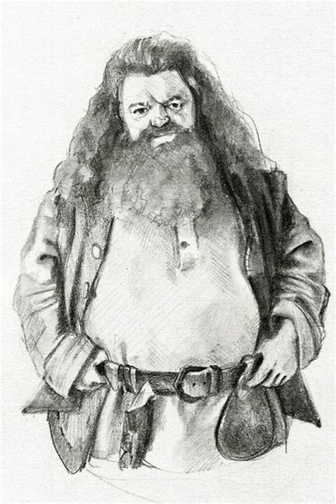 A Good Draw Of Hagrid Harry Potter Drawings Harry Potter Portraits