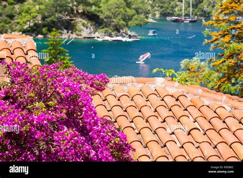 Hermosas Flores De Verano Con Techos De Tejas Rojas Casa Vista Casa De