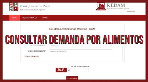 Descubre C Mo Consultar Demanda Por Alimentos De Forma R Pida Y Sencilla