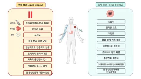 혈액으로 암 진단하는 ‘액체생검 주목 “표준화된 검사법과 임상 통한 검증 필요” 바이오타임즈