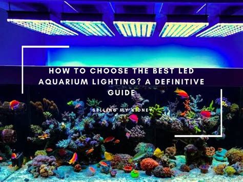 The Best Led Aquarium Lighting In 2022 A Definitive Guide