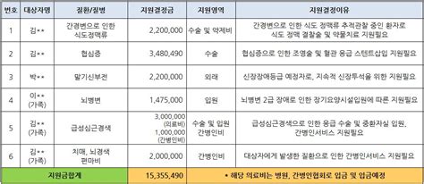 직접의료비지원 발표 2016년 긴급 의료비지원결과 및 제1차 직접의료비지원사업 결과