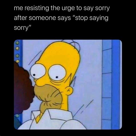 Stop saying sorry | /r/wholesomememes | Wholesome Memes | Know Your Meme