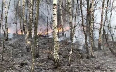 Incendiu Puternic N Mun Ii Apuseni Fl C Rile Distrug Peste Hectare