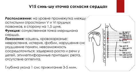 Меридиан мочевого пузыря. Сочувственные точки - online presentation