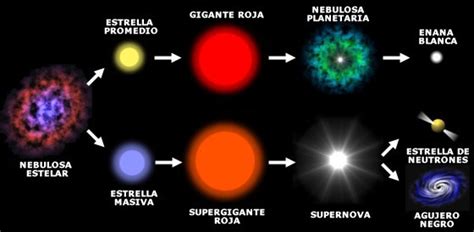 Fajtalans G Amper Sarkanty Ciclo De Vida De Las Estrellas Wikipedia