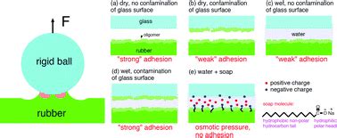 The Effect Of Surface Roughness And Viscoelasticity On Rubber Adhesion