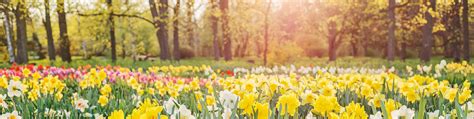 Best Spring Walks Os Getoutside