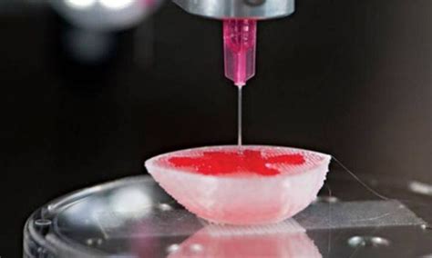 Bioprinting 101 Part 5 Bioink 3DPrint The Voice Of 3D