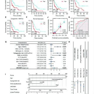 Unfavorable Prognostic Value Of High Unc B Expression In Aml A Km