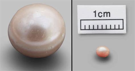 The World S Oldest Pearl To Go On Display In Abu Dhabi