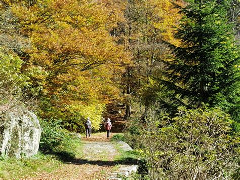 La Passeggiata Dei Preti Santuario Di Oropa