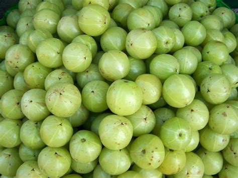 Ayurveda Tips: HEALTH with AMLA