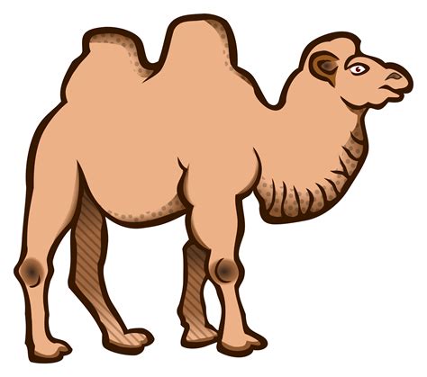 Bactrian camel clipart 20 free Cliparts | Download images on Clipground ...