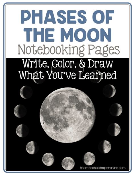 Blank Moon Phases Worksheet