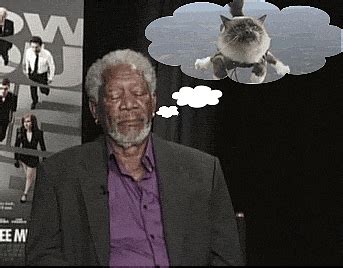 Flying-cat GIFs - Find & Share on GIPHY