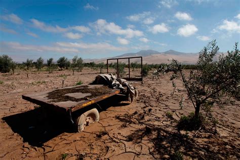 Atacama El Incesante Esfuerzo De Indap Por Levantar A Los Agricultores