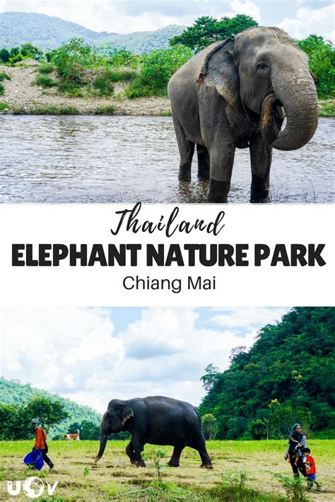 The Elephant Nature Park - Thailand