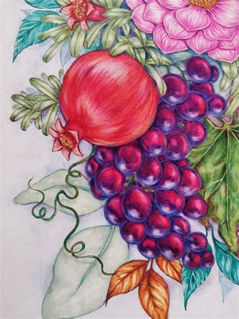 Fruits and flowers colored pencils Frutas e flores lápis de cor Grape