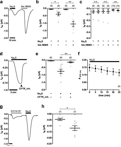 Hydrogen Sulfide Stimulates CFTR In Xenopus Oocytes A A