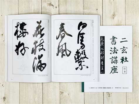 正大筆莊 《二玄社書法講座 行書》 西川寧 主編 湖南美術出版社 二玄社 書法 講座 行書 書法講座