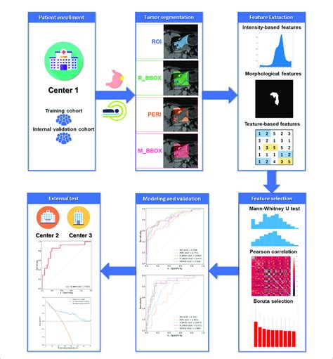 Radiomics Processing Flowchart Download Scientific Diagram