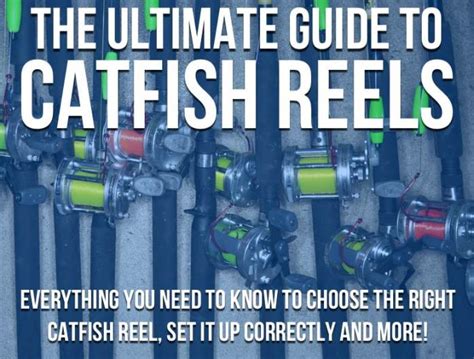 Catfish Reels The Ultimate Guide To Catfish Reels