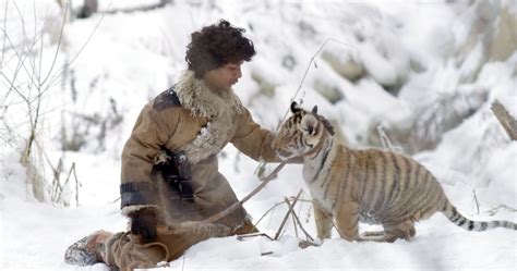 Le Tigre Et L Enfant Par Brando Quilici