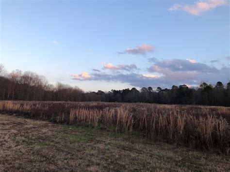 Allatoona Creek Park Updated January 2025 168 Photos 5690 Old Stilesboro Rd Nw Acworth