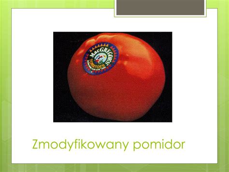 PPT Żywność GMO PowerPoint Presentation free download ID 6996029