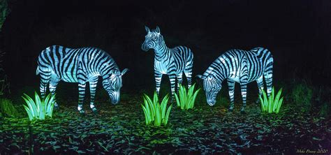 Zoo Lights Seattle 38 Photograph by Mike Penney - Fine Art America