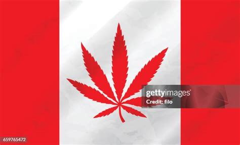 793 Weed Flag Stock Photos, High-Res Pictures, and Images - Getty Images