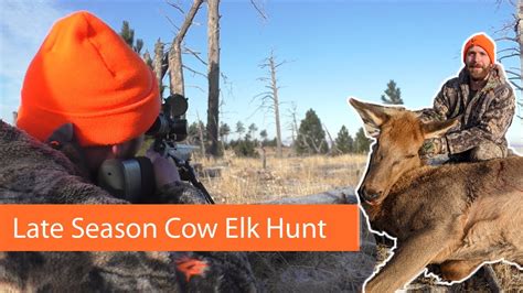 Elk Hunting The Black Hills South Dakota Late Cow Season Youtube