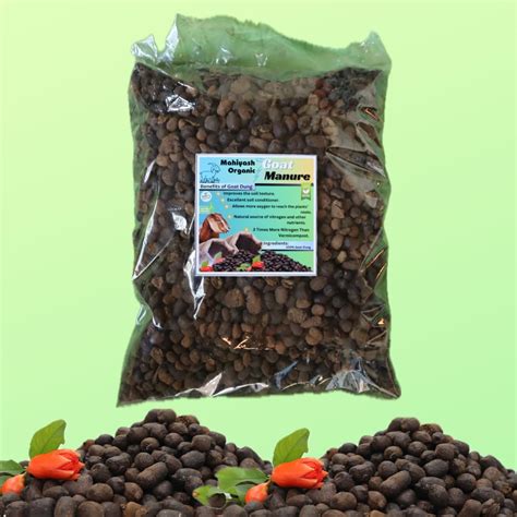 Organic Raw Goat Dung Goat Manure For Plants Home Gardening Organic