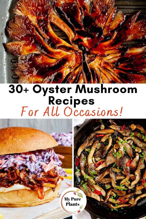 40 Oyster Mushroom Recipes You Need to Try - My Pure Plants