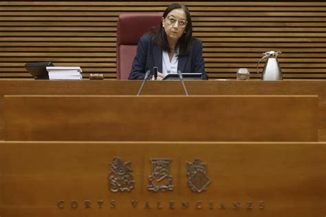 El Pspv Denuncia Que Las Corts Valencianes Tramitan Una Pnl De Vox En