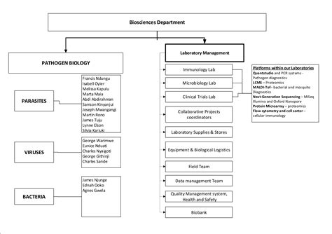 Department Structure – INFORM