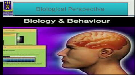 PSYC 101 SESSION 5 THEORETICAL PERSPECTIVES 1 YouTube