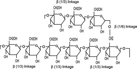 Frontiers β Glucan Mode of Action and Its Uses in Fish Immunomodulation