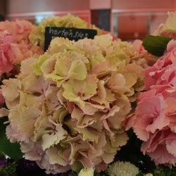 MarketDay: Farmers Market, Geneva, Switzerland, August 3, 2013 | The ...